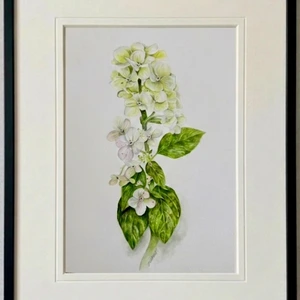 Art for sale