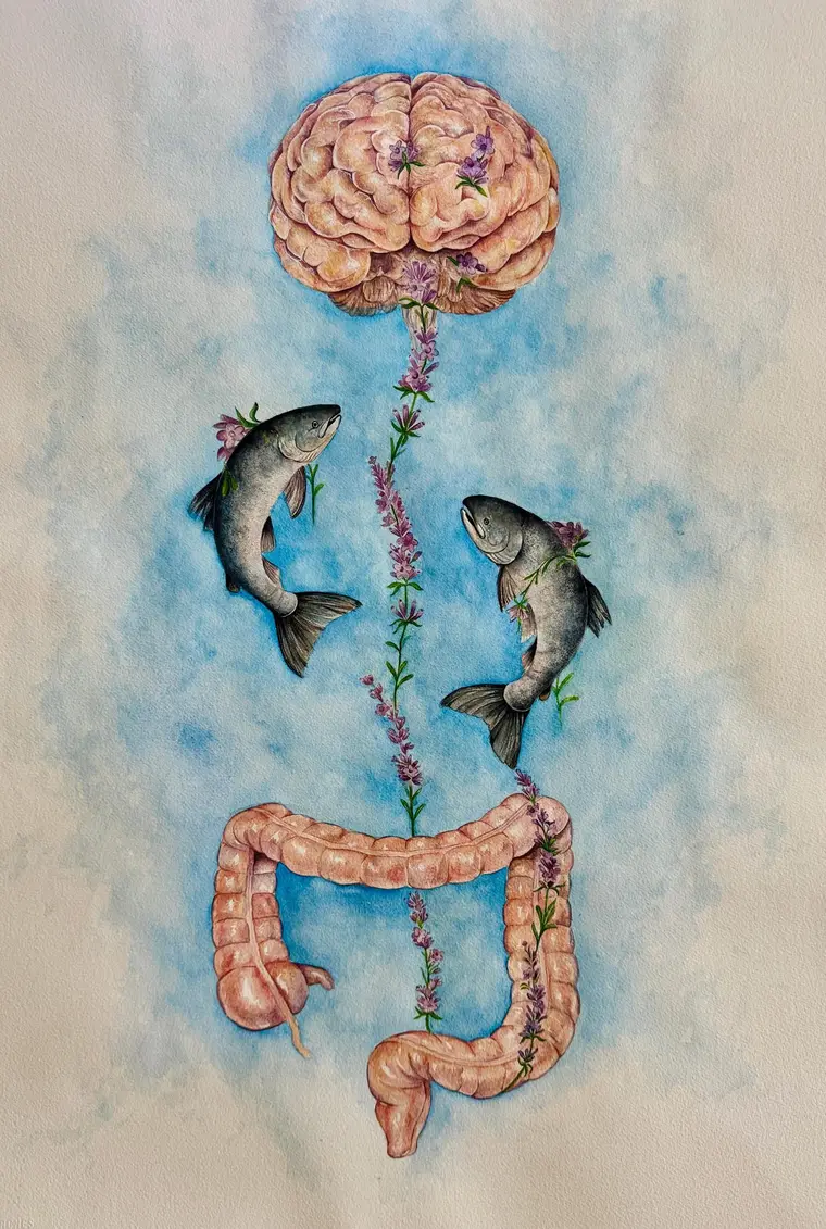 The Happiness Circuit - scientific watercolour by Pulse and Art