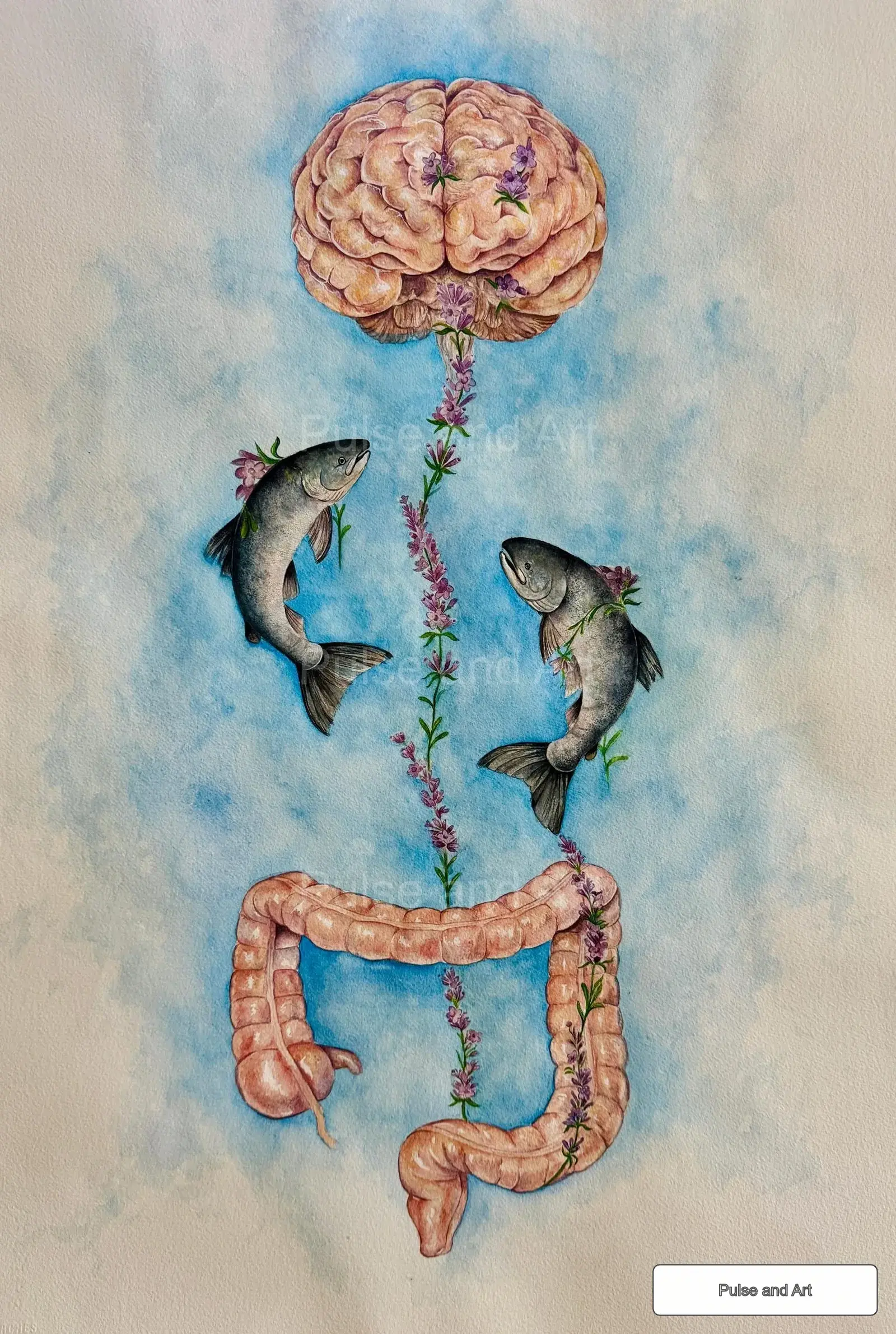 The Happiness Circuit - scientific illustration by Pulse and Art